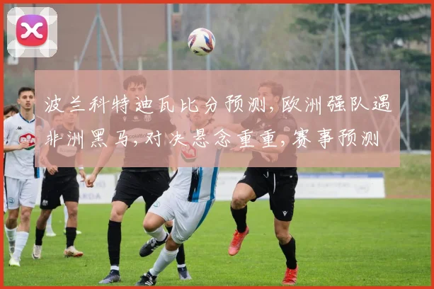 波兰科特迪瓦比分预测,欧洲强队遇非洲黑马,对决悬念重重,赛事预测谁将笑到最后